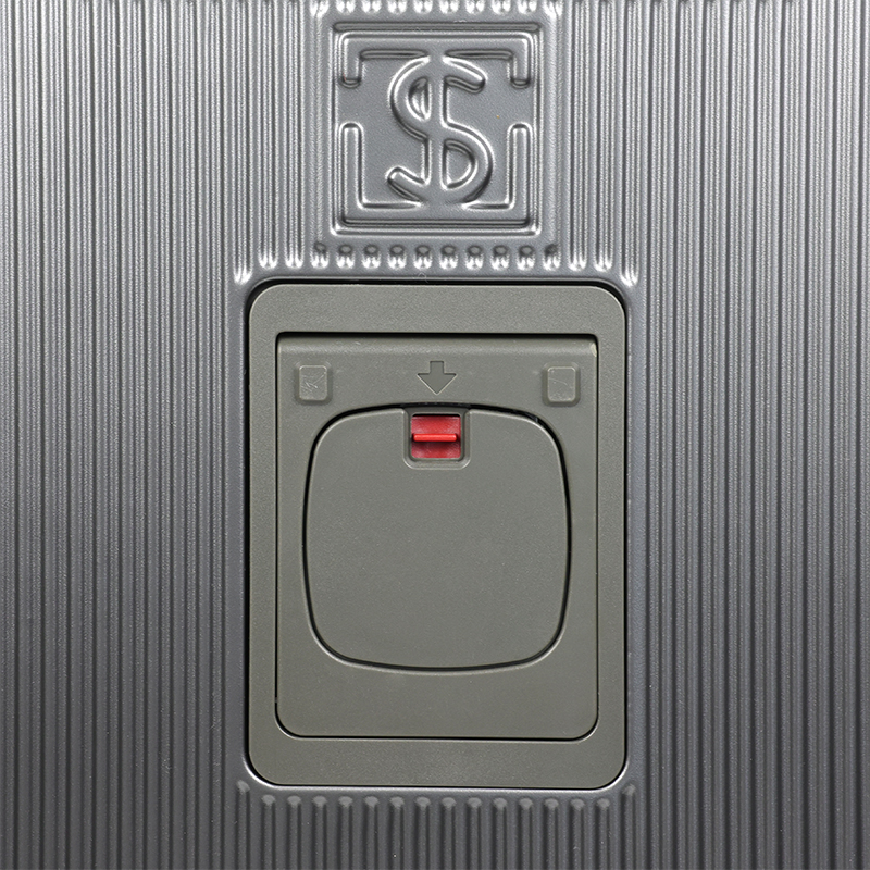 20-Inch Premium Hard Shell Trolley Luggage