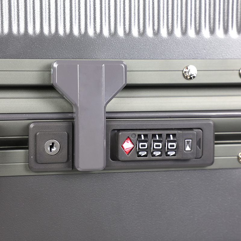 20-Inch Premium Hard Shell Trolley Luggage